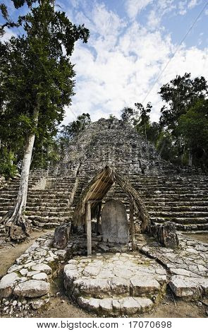 vue de la perte dans le site de jungle Maya de Coba au yucatan Mexique