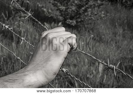 Surreal bloody barbed wire on black and white background