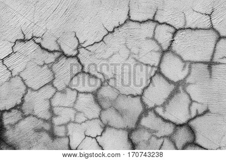 closeup of a rustic and cracked off-white plastered wall