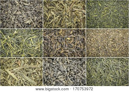 collage of nine loose leaf green tea background and texture, clockwise from top left: gunpowder, pan fired, kabusecha,occha kariban, Tinharia estate, fanning, sencha, young hyson, sencha saga