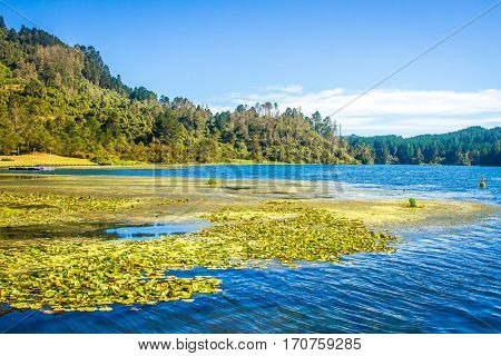serene river view, green forest and blue water