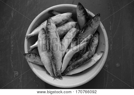 circle of the life in bowl frozen fish of diffrent size little and big  old and young prepare for cook