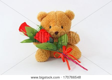 Brown teddy bears and red roses on a white background.