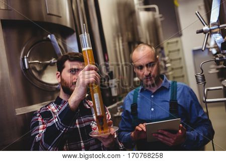 Owner inspecting beer in tube with worker at brewery