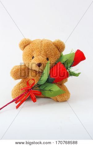 Brown teddy bears and red roses on a white background.