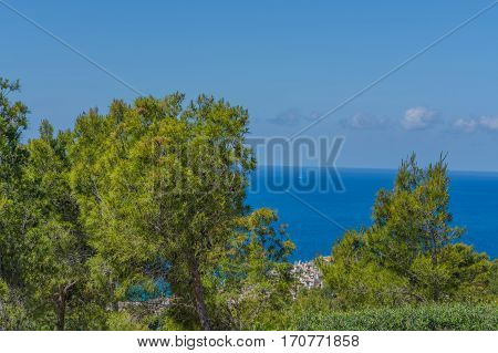 Panorama of the bay Paguera photographed from the mountain in Costa de la Calma.