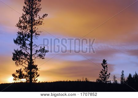 Tramonto