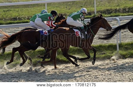 Horse race for the traditional prize Anilina in Pyatigorsk,the largest in Russia.