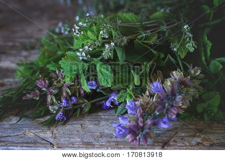 Assortment Of Fresh Herbs
