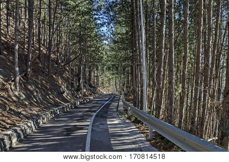 Panorama of ecological path through  green winter forest, Lozen mountain, Pancharevo, Bulgaria