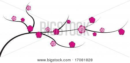 Ramita de cereza con flores