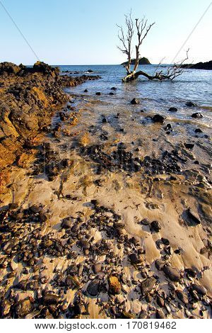Andilana   Seaweed   Indian Ocean  Mountain   Sand Isle  Sky  Rock