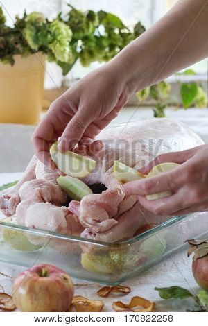 Raw Goose