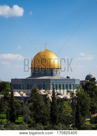 Trees in the foreground of view of Dome of the Rock Mosque in Jerusalem Israel.