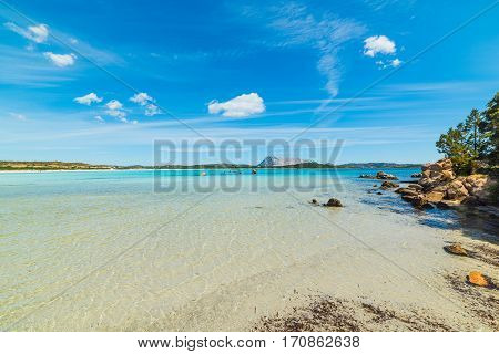 Lu Impostu beach on a sunny day Sardinia