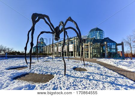 Ottawa, Canada - December 25, 2016: Spider sculpture in front the National Gallery of Canada located in the capital city Ottawa Ontario is one of Canada's premier art galleries.