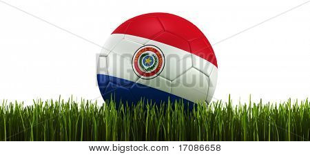 3D vykreslování paraguayský soccerball ležící v trávě