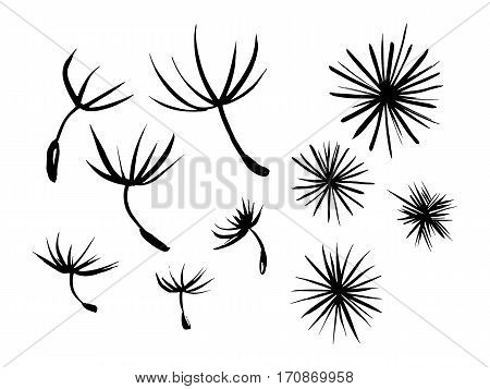 Set ink abstract designs drawn by hand. Umbrellas of dandelion seeds. Bit of fluff dandelion.Black stars.