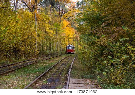 red tram rails on curves near the trees and grass