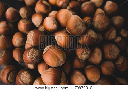 Heap Of Hazelnuts