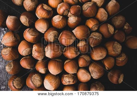 Heap Of Hazelnuts