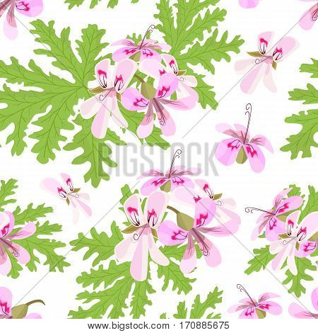 Rose Geranium theme. Seamless pattern vector. Elegant and vivid. Pelargonium Graveolens. Blossoming pink flowers on a green branch. for poster, spa, cosmetics, health care, prints, textile, decoration