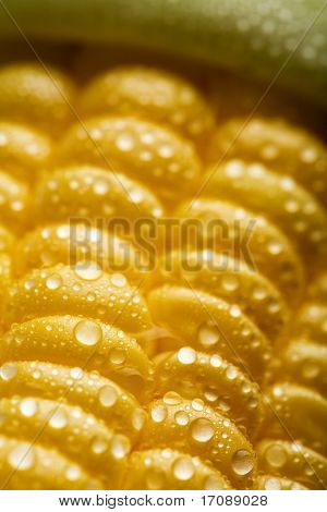 macro de granos de maíz frescos