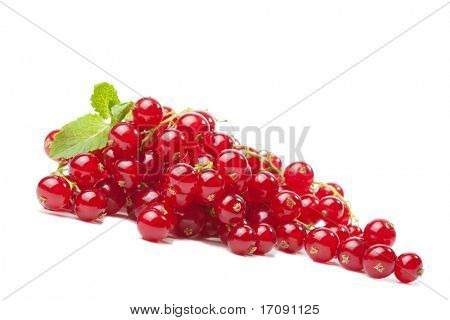 ครบ redcurrant แยกต่างหาก