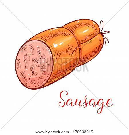 Meat sausage isolated sketch. Beef bologna sausage or mortadella lunch meat for sandwich recipe, butcher shop, food packaging design
