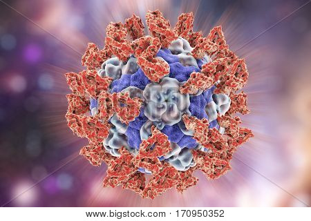 Parechovirus with attached integrin molecules which serve as cell receptors, 3D illustration