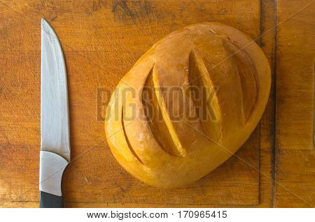 head of traditional Adygei cheese handmade with knife on wooden Board