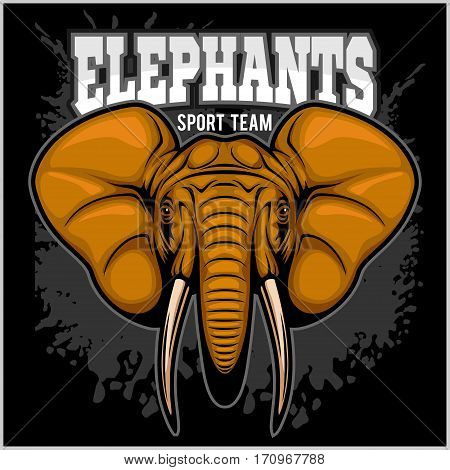 Elephants - sport club team symbol. Safari hunt badge of yellow, elephant tusk. Vector sign for africa hunting sport