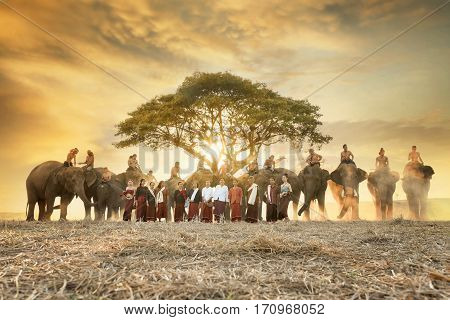 SURIN - JAN 7 : Surin ordination parade on elephant back festival at Hadsiao Temple,Si Satchanalai from JAN 7 ,Riding on elephant and Thai Puan ordination on JAN 7, 2016  in Surin.