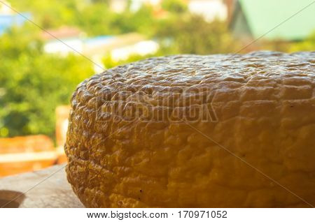 head of traditional Adygei cheese handmade on wooden Board