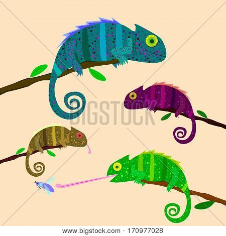 Set of colorful chameleons sitting on the branch on light background.