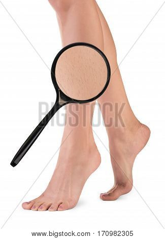 Female legs with hair. Magnifier brings hair on woman's legs.