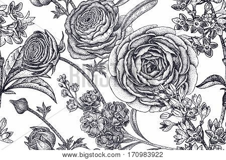 Spring flowers seamless floral pattern. Hand drawing garden plants buttercup lilac gillyflower black on white background. Vector vintage illustration. For wrapping fabric fashion paper textile.