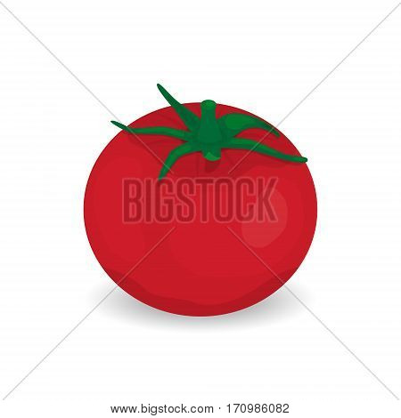 Tomato isolated single simple cartoon illustration. Red tomato vegetable icon vector illustration graphic design icon vector illustration graphic design