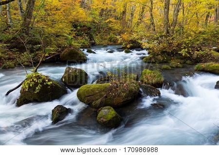 Waterfall in Oirase stream at Towada