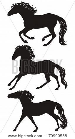 Vecor running horses silhouettes set. Isolated galloping group of a horses black on white