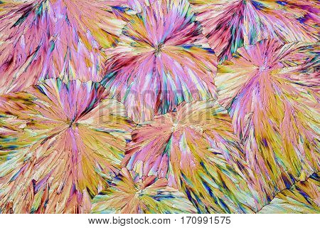Colorful micro crystals through the microscope in polarized light