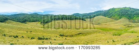 The Wild Land