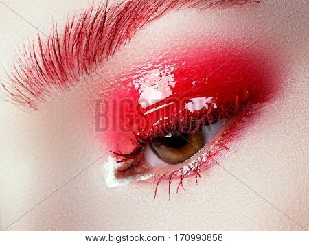 Beautiful Macro Shot Of Female Eye With Extreme Long Eyelashes
