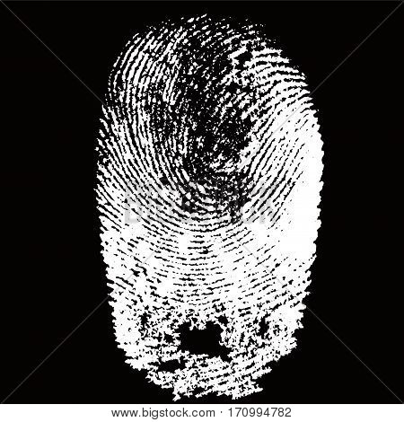 White fingerprint shape on black background for secure identification. Vector illustration