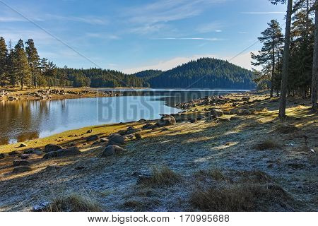 Landscape of Green forest of Shiroka polyana Reservoir, Pazardzhik Region, Bulgaria