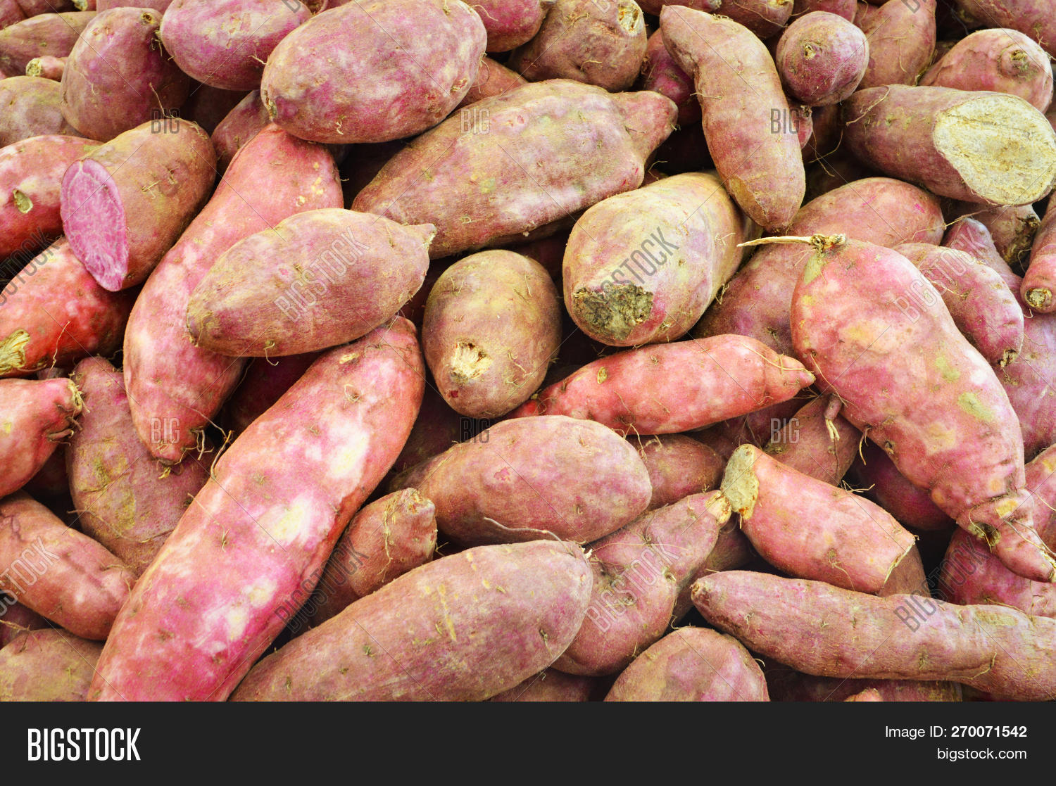 Red Yam Background / Image & Photo (Free Trial) Bigstock