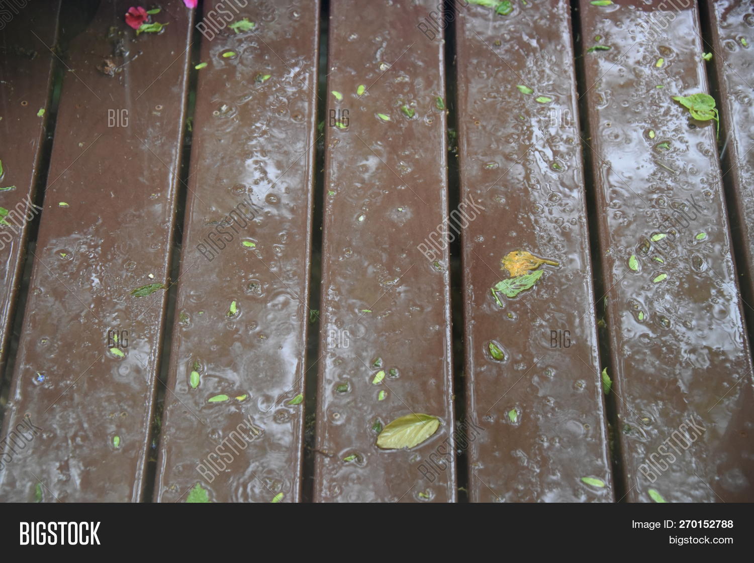 Wet Floor Boards On Image & Photo (Free Trial) Bigstock