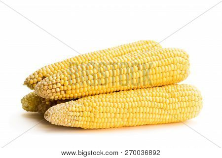 Sweet  Corn Steamed Or Boiled Isolated On White