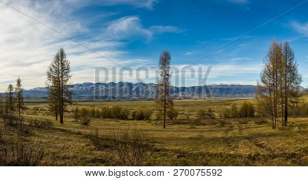 Kurai Steppe And Its Surrounding Mountains With Snowy Peaks, Altai, Russia