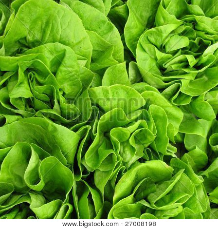 salat